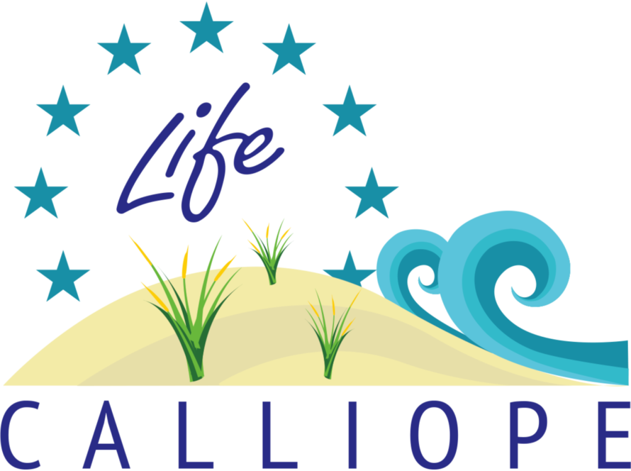 Il progetto Calliope da 13 milioni di euro a Taranto