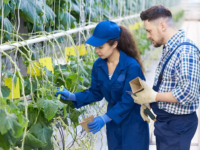 L'Istituto Tecnico Agrario a Taranto offre un'ottima opportunità di formazione nel settore agricolo e settori correlati. Masterform a Taranto